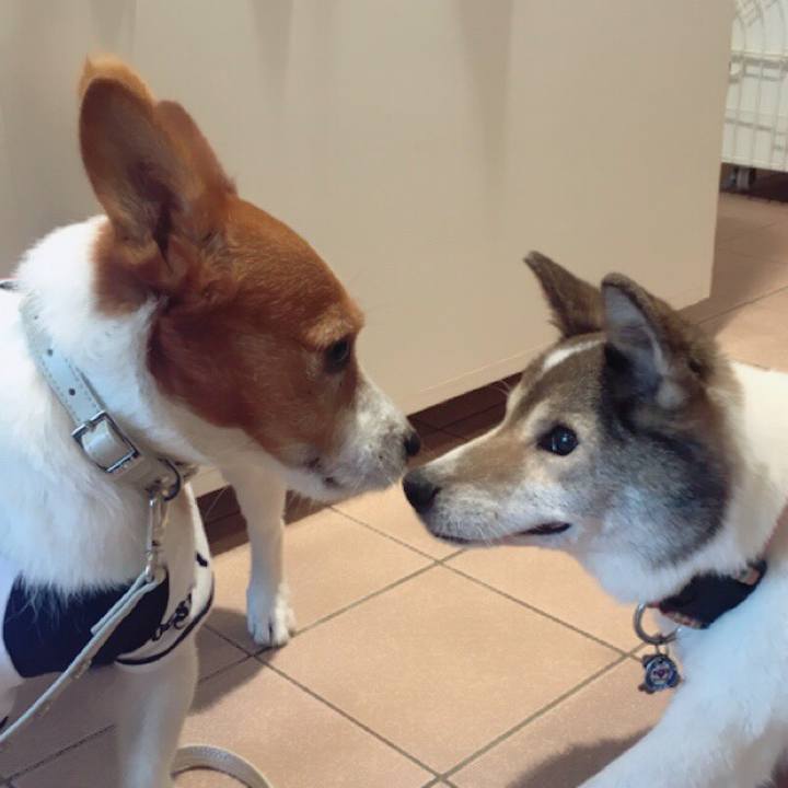 613ad9bd 7740 4fa0 8a01 c5f4039ff767