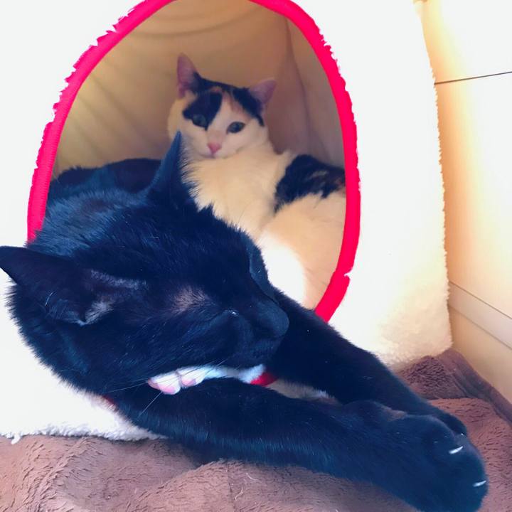 613aff3f 091c 4e1c 9112 aab6404d1730