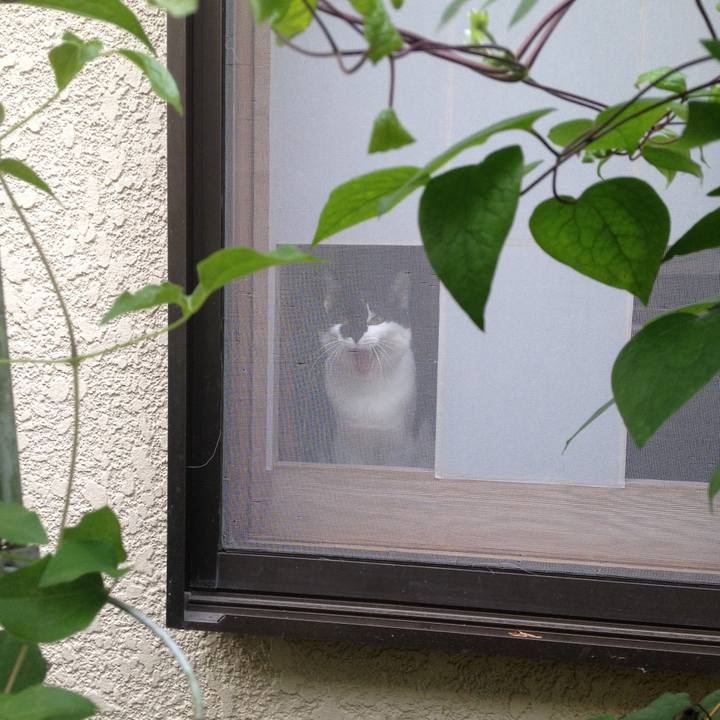 613b4521 c9f1 475b a918 6da90c9dc9af