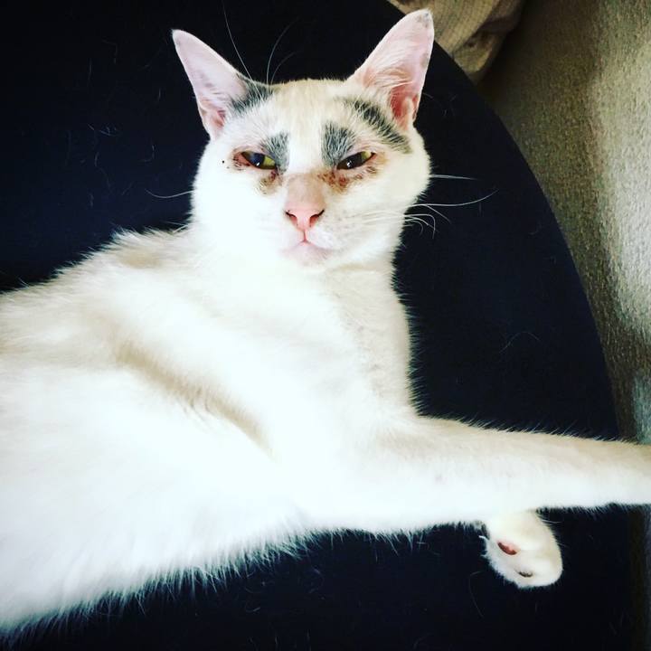 613c8819 d059 432c a60f d1537e8d47d6