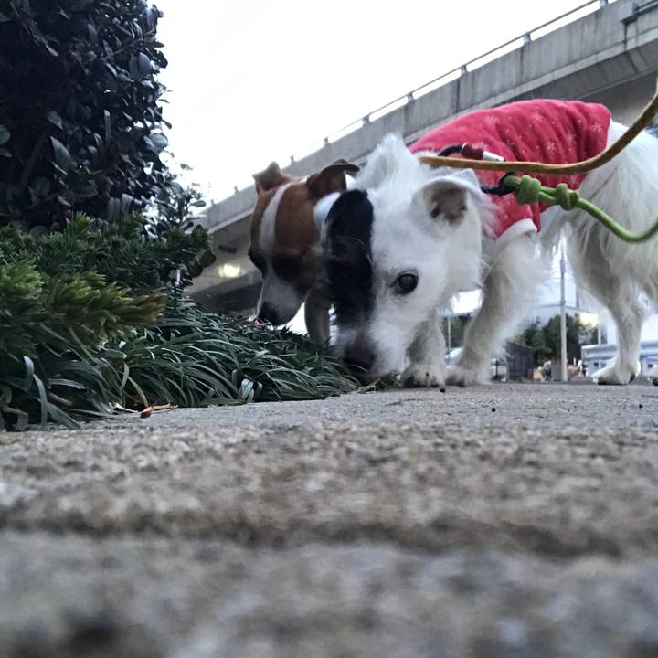 613cac0c 5fdb 4cb3 b666 867e3d9b93eb