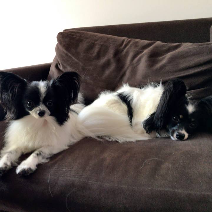 613da7b5 1d54 42a0 bf73 9094bc77f746