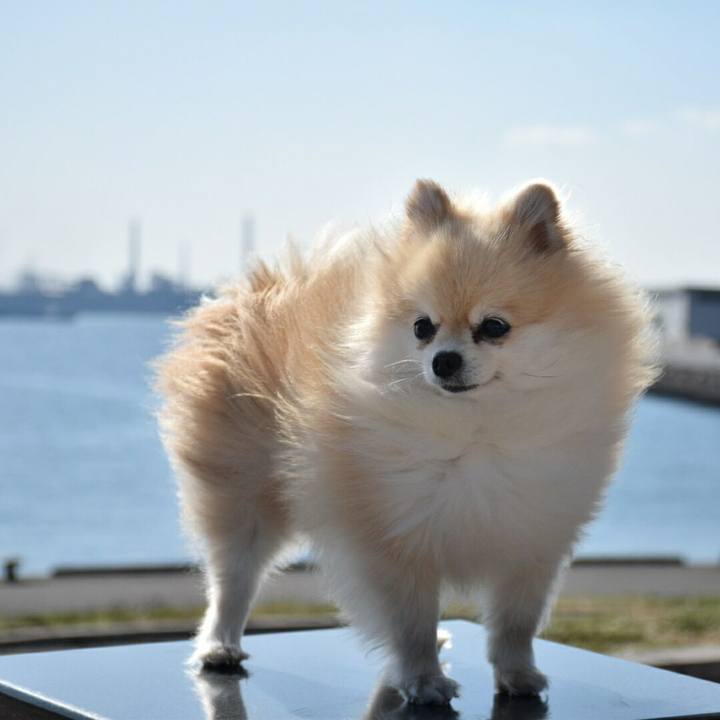 613f1210 f9ba 4967 acdf c672b1985b11