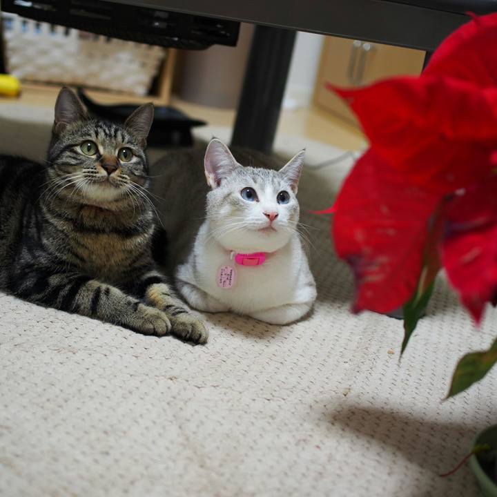 613fbfc1 0cb9 4fba 840d 6391658147ca