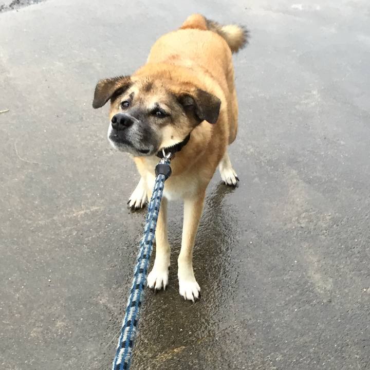 613fe34a 4bf3 43d5 97b5 5bcc1c6ccc7e