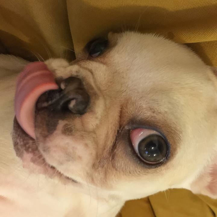 61401ccd 62fb 4b21 bd22 29deb851e8c6