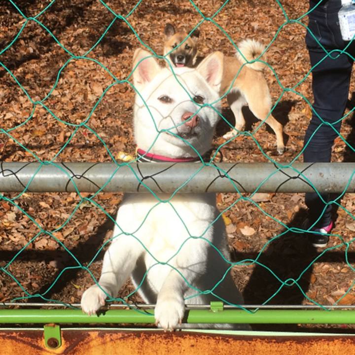 6140983d 7aed 4ee6 92fd 07dc83addb08