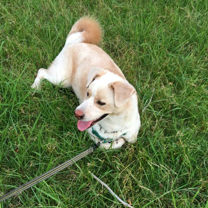 6141fd00 ed86 448a a9b6 ef1aff0df354