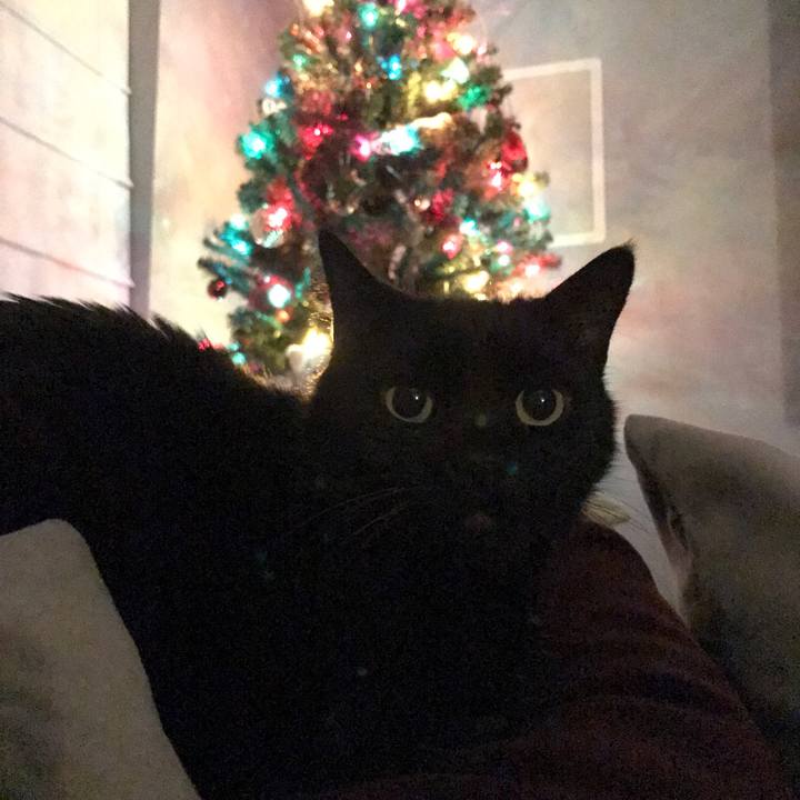 61432f39 7edc 4e4a 8786 601b046e57bd