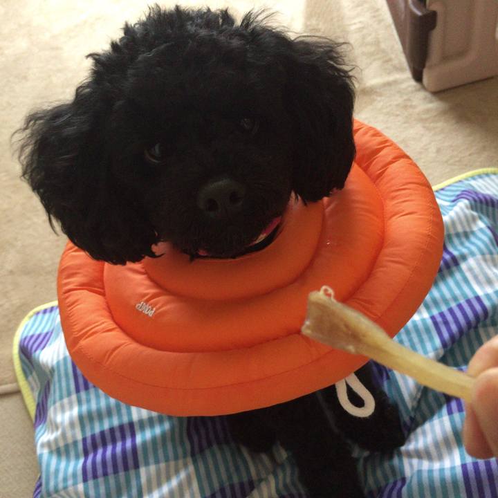 614428da a4d2 4e7e 8c7f dea1ed6896bf