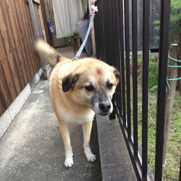 61446e0a bfe9 4170 9af1 d35c9b765135