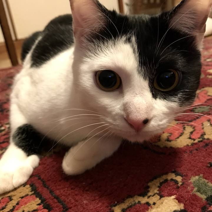 61448367 6018 48d4 b8cb f261151ec1e8