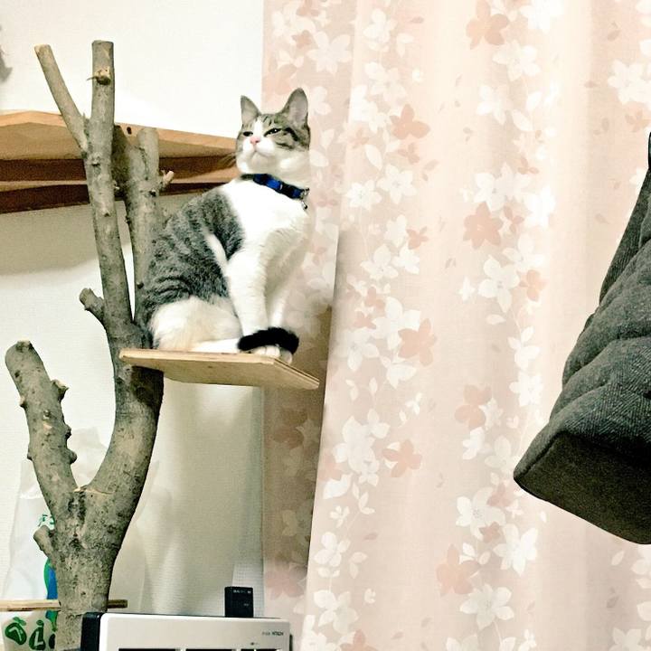 6144c742 75d3 4dfe a28a 3ca4002d6ce3