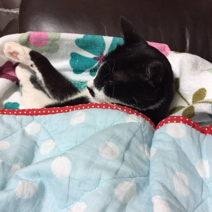 61457074 e496 4278 8dd4 817609cb257b