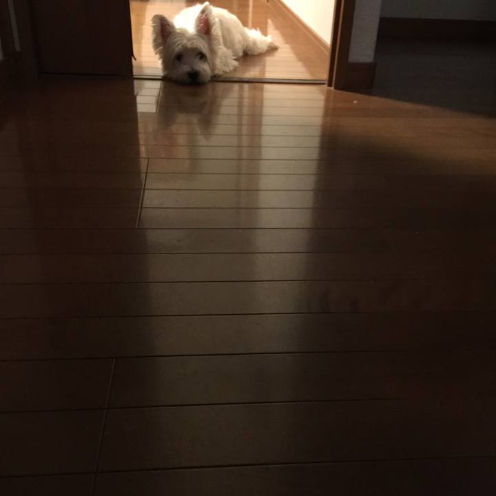 61459704 b82b 493f 85e9 ea35c1979ada