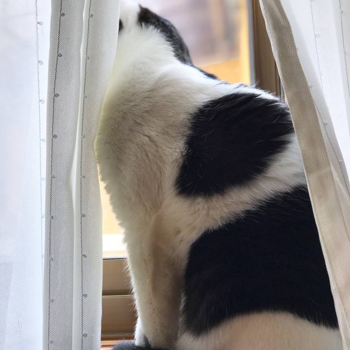 6145d312 8872 44af bc4f 36f8d16970ab