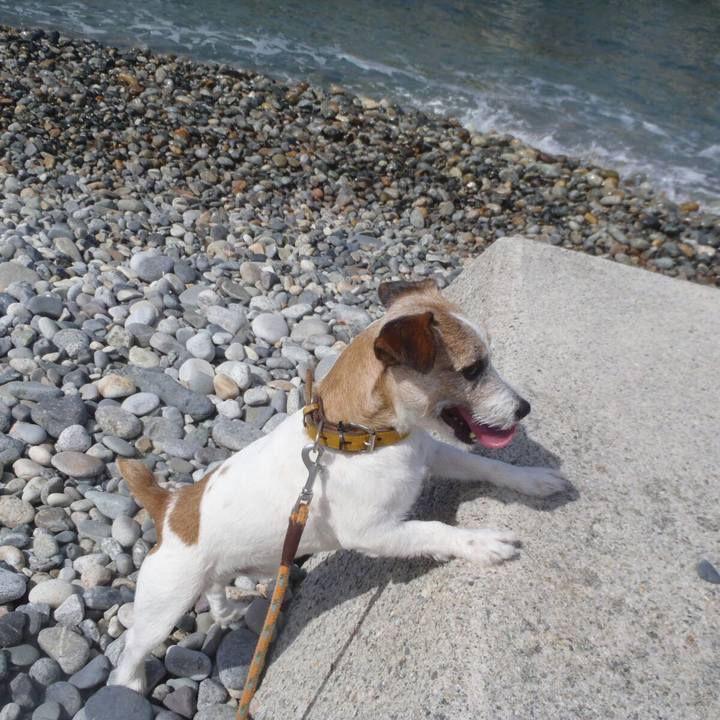 6145ecf6 f6de 42f9 aaa3 6339b8785b36