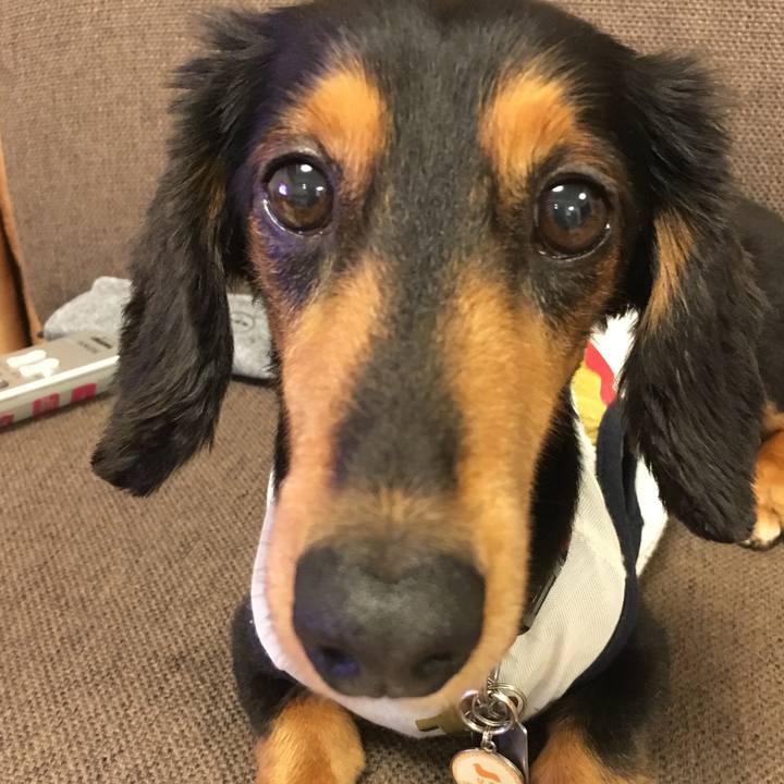 6145f9c1 aa7f 43fb b044 c6274b9f6ef0