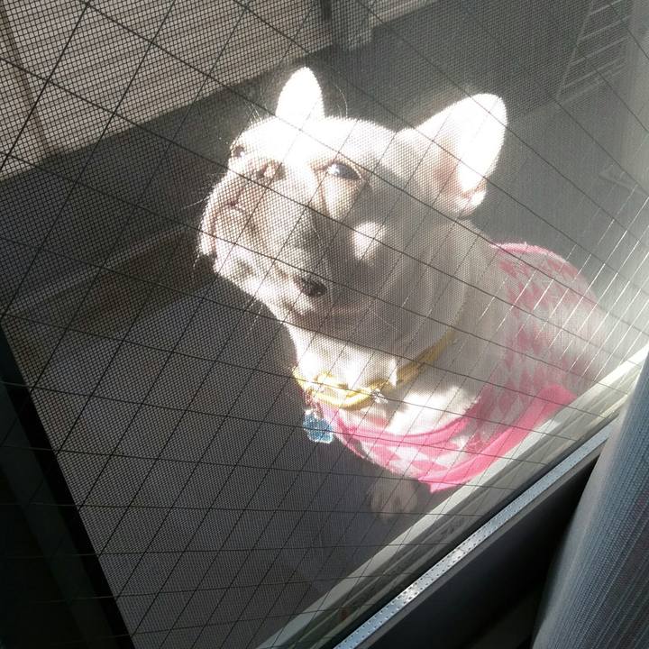 61464362 e335 41db 99eb c10b7187917a