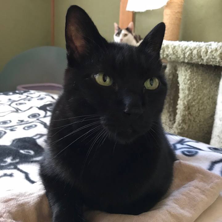 61464dd3 5cf6 4edf a746 9ea259fb1f43