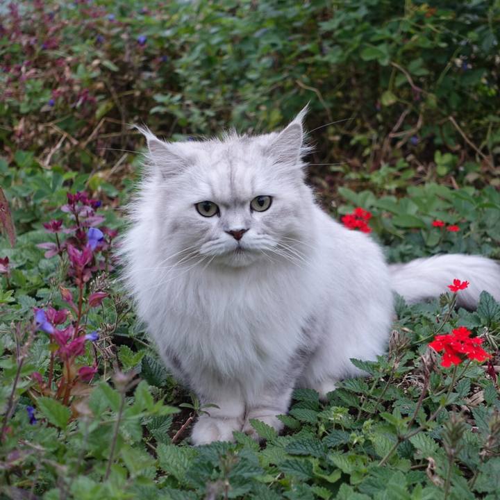 61468e30 6e3a 41e5 a4ec a8d43ce6d9c4