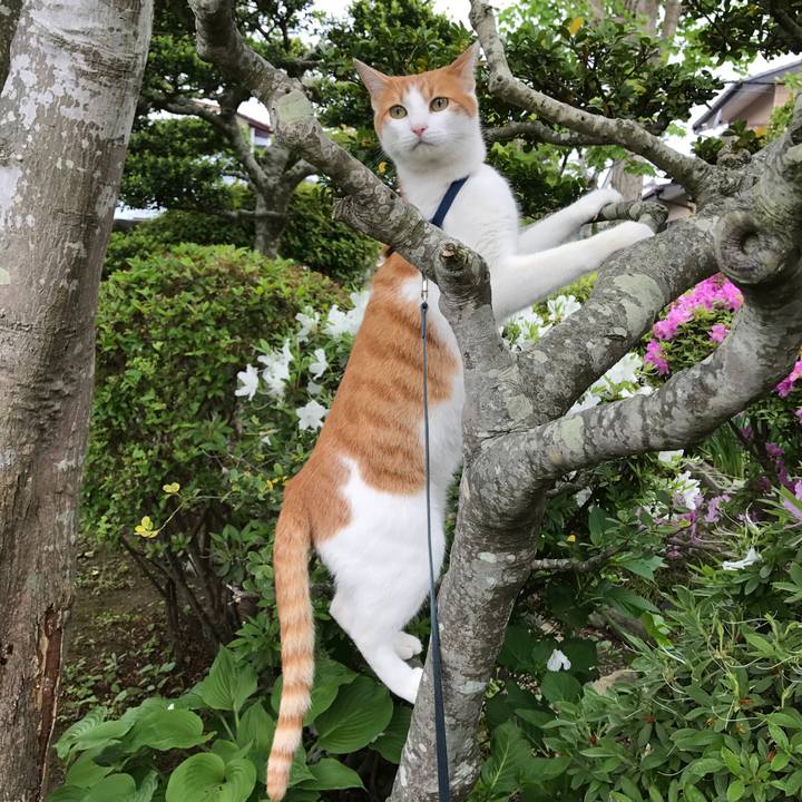 6146af6e fe40 42cc af9a 71a54e958b14