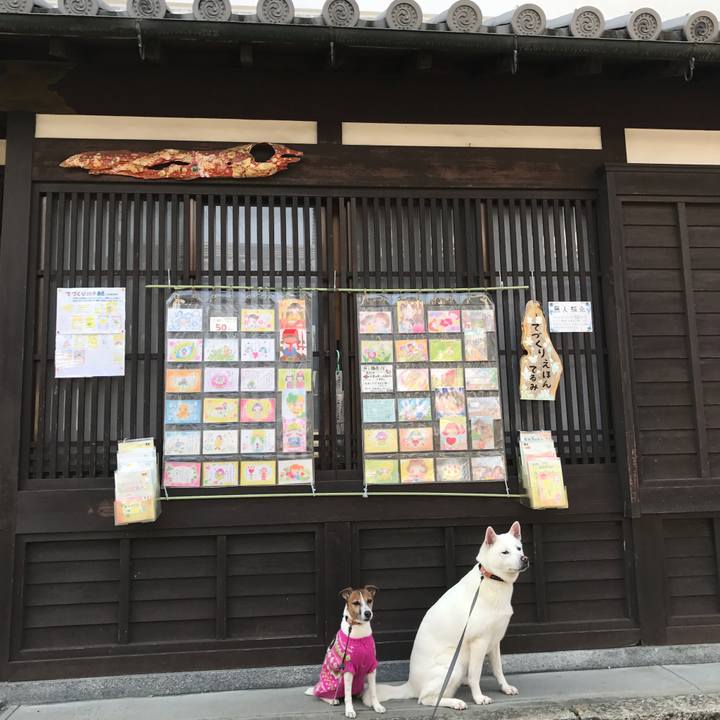 6147229c 0eff 47d9 804a 69bc6151a9d1