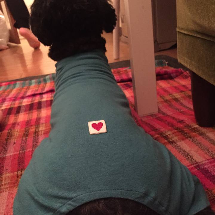 61479115 3063 44fc b1e2 2955b6b8f73e