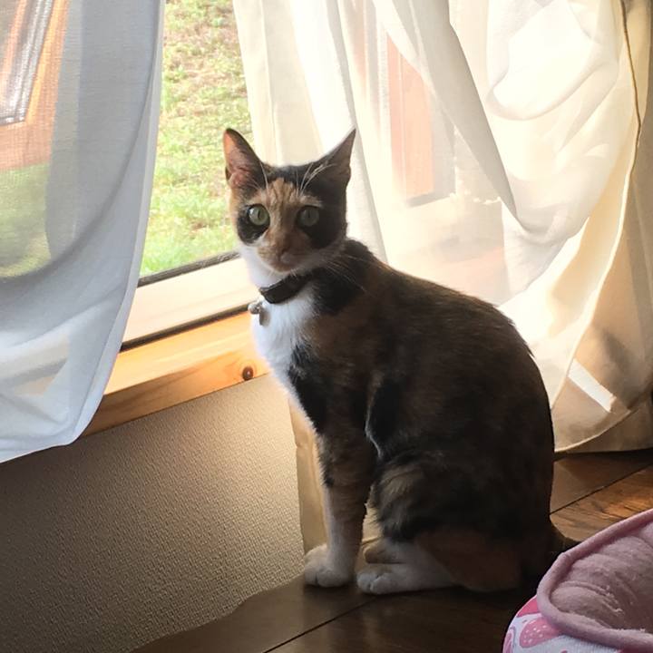 6147d25c f4b6 4d46 a3b0 81d2cb3e699a