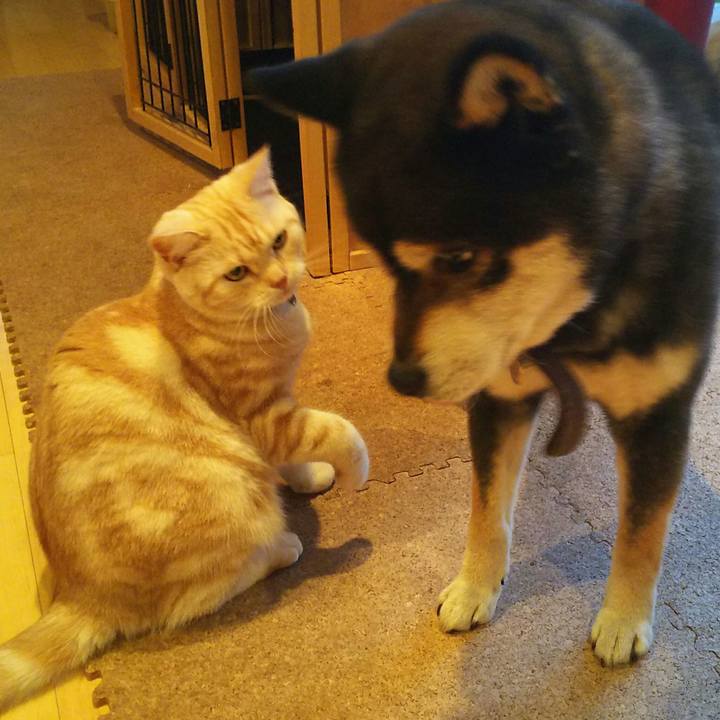 61483b76 bce8 4bd7 81d5 4e70d4be71c9