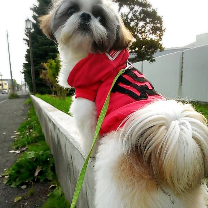 614897f3 7a6d 4f2f aefb 6f22dab21b1d