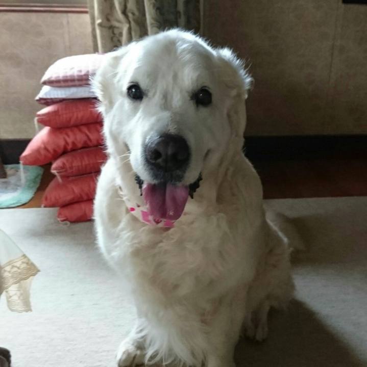 6148bf8d ee93 4eb3 8372 42da952cb681