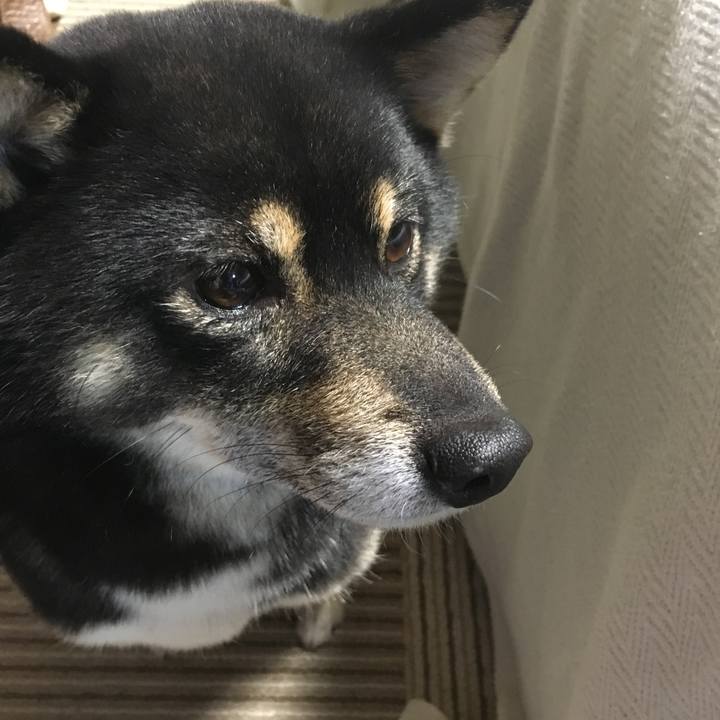 6148cda3 b7e6 464b a85b 52623147b9cd