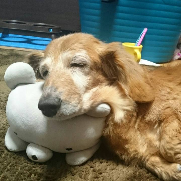 6148fd16 5c03 4a1e bc85 c01565e0f6ff