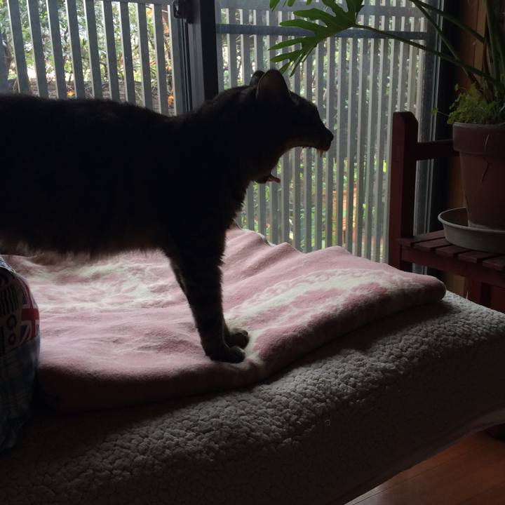 614a40b6 1ad0 4c22 940d 96d0ef3792e4