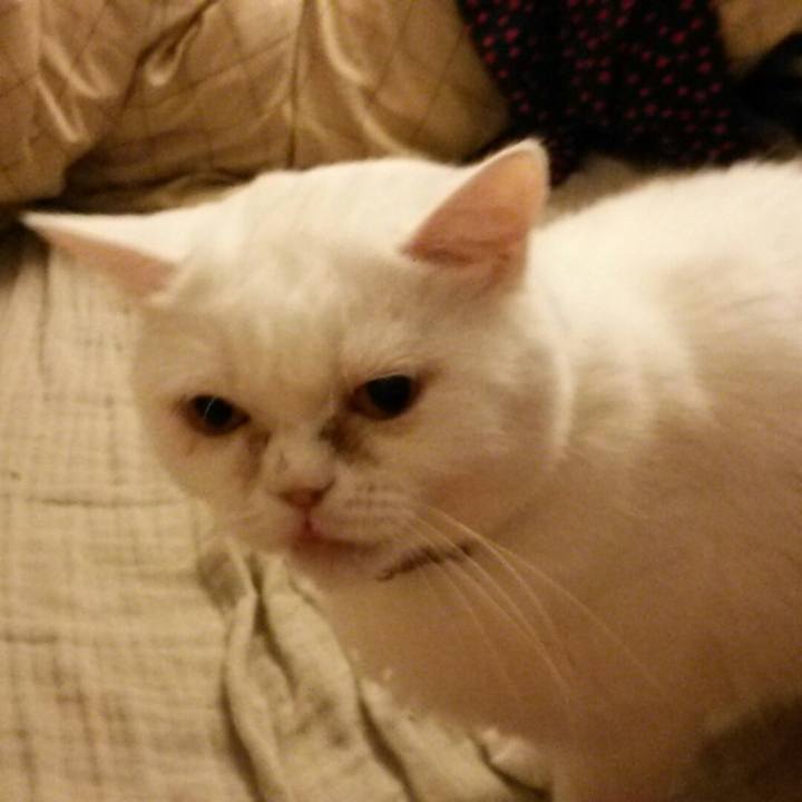 614a4dfc f6d9 4f8b 9671 d979bb09b6d8