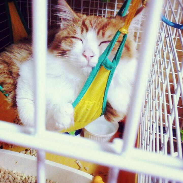 614ad8eb 42c8 4d3e a3bf a91de10b04c4