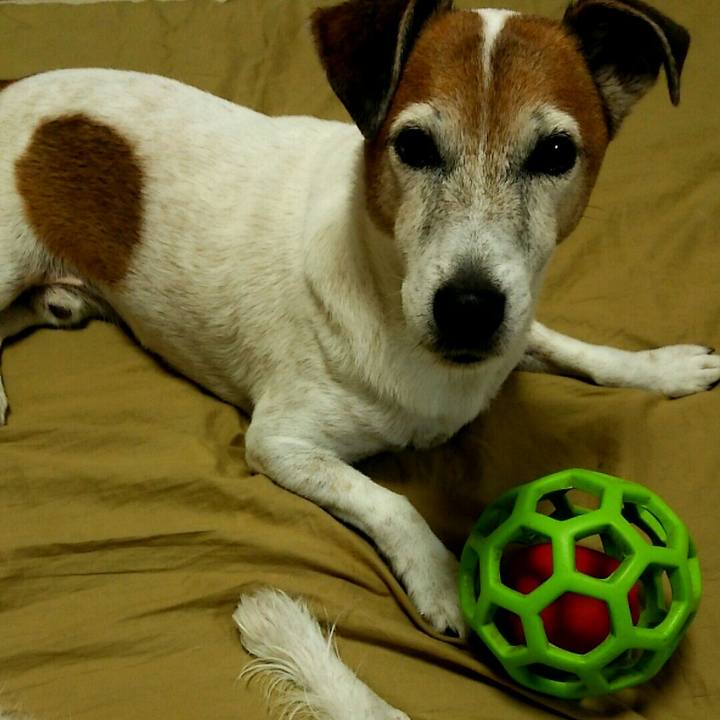 614b67bd df78 4cb3 a75f b410d7c03ff4