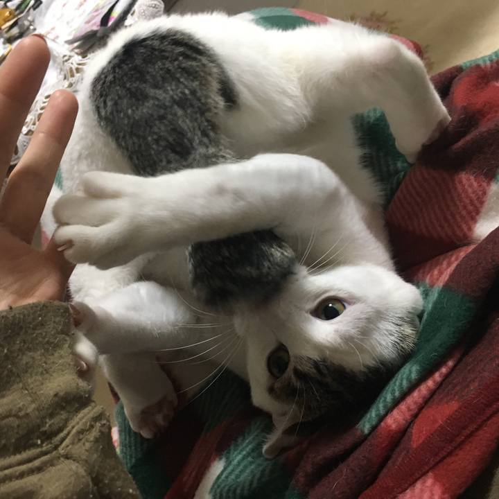 614d00f3 c848 48d8 972a 8e2e6aa6ef4f