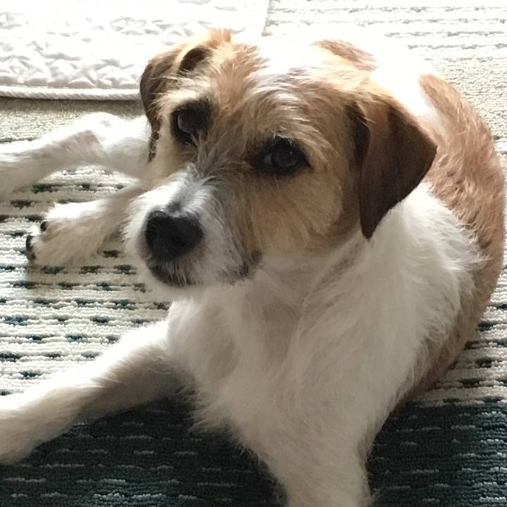 614d26ce 06f5 4c0a a77c b0e74f4c4205