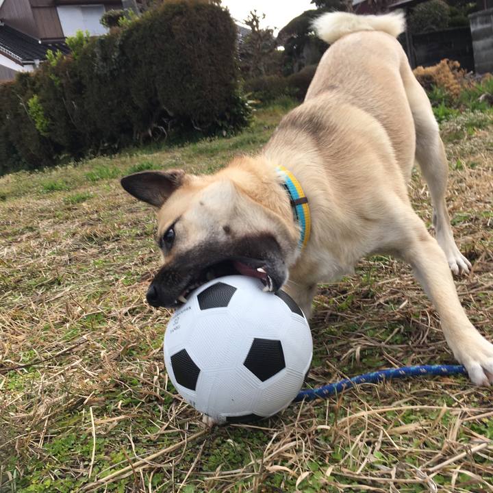 614dc82a ce6b 4414 8f3f b8ec08c5ea3c