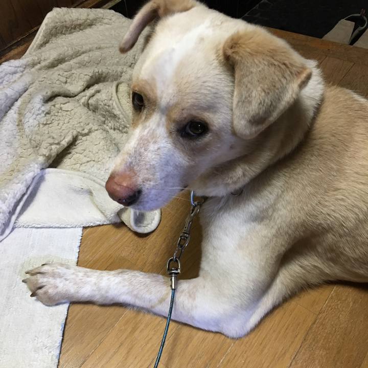 614ec58a 1f46 4d89 b7f2 77e0daf0f089