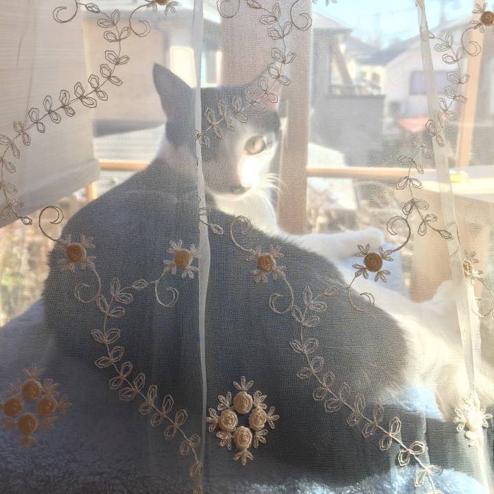 614efeb8 dd99 4960 93d1 36eadaa43b30