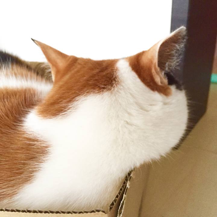 614ff3fd 2361 4eba 9f6c 79dd597ca187