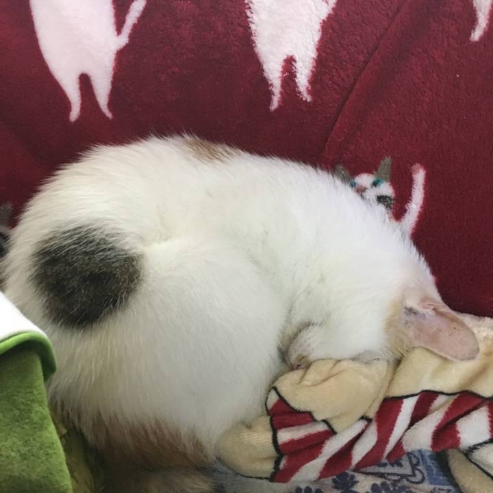 615024b3 8220 4f38 a006 e8ee42e396c4