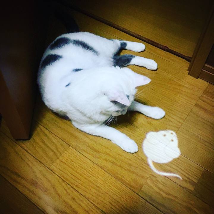 6150725d 8010 4ff4 ae82 d008de9264f3