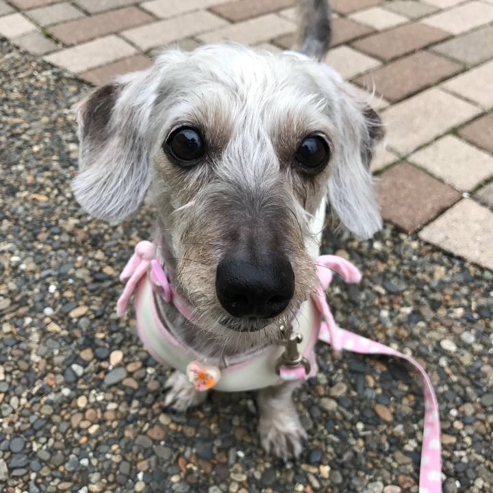 6150bf17 b154 4941 a380 4badc1b447d5