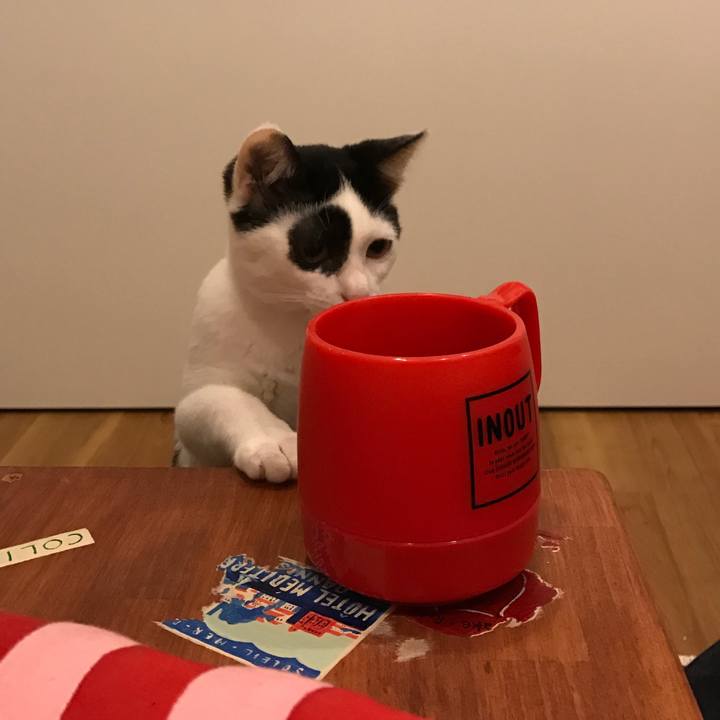 6150e637 d323 434e 9b80 c3f2e6198952