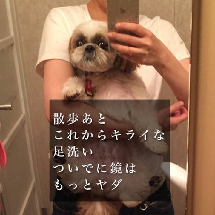 615100cc 756b 4e5b b7ec e1311b72530a