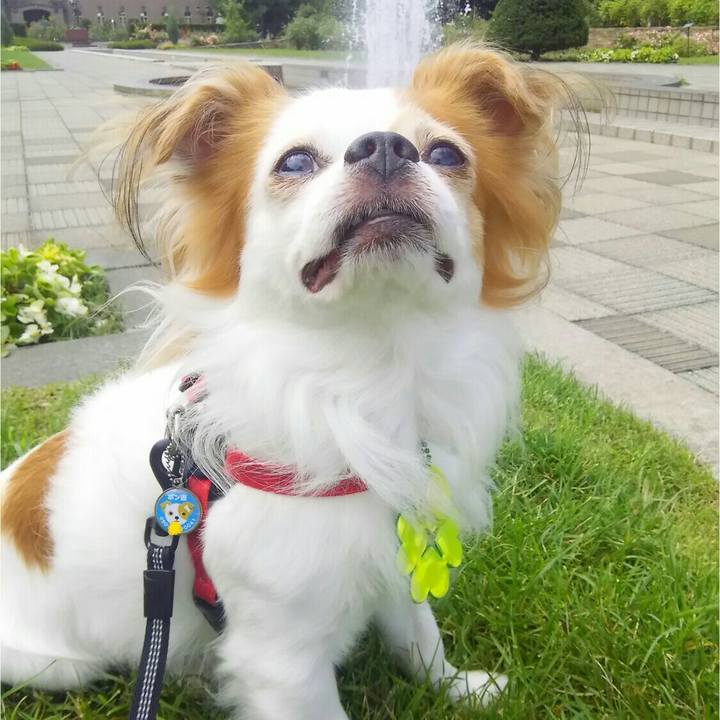 61518514 b0d3 411f 87c6 190d2c40a5fb